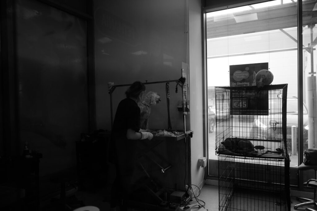 Video Podcast Producer