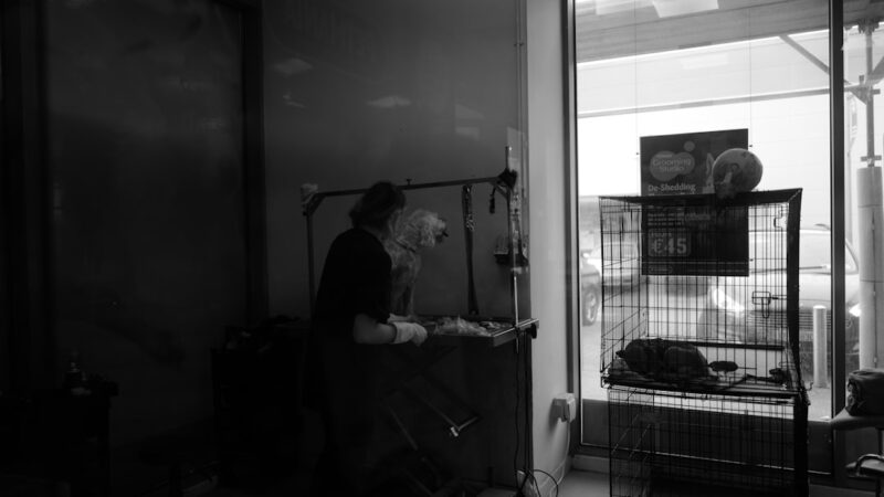 Video Podcast Producer