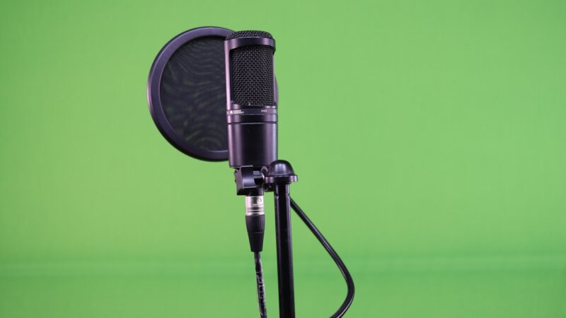 Voice Over Artist — ICON Consultants, LP