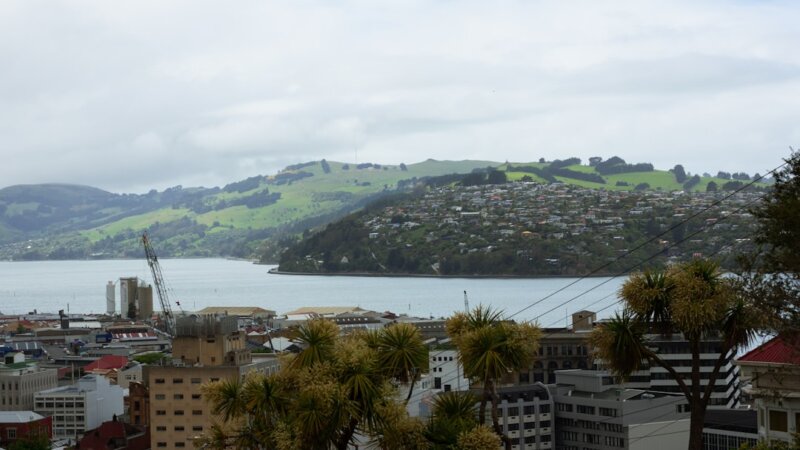 Producer – Undisclosed (via SEEK New Zealand)