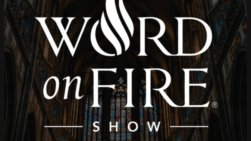 Word On Fire Show Ep533 “Hollywood & Catholic Priests”