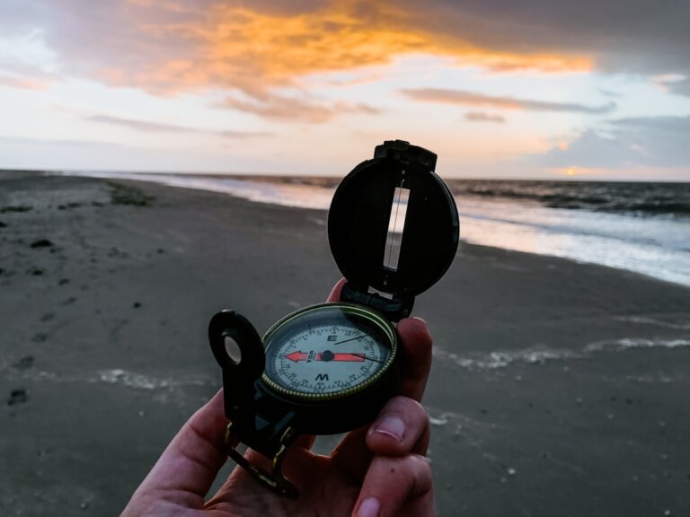 Agent Experience Coordinator — Compass