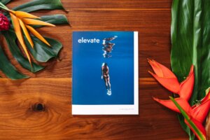 Contract Editor — Elevate