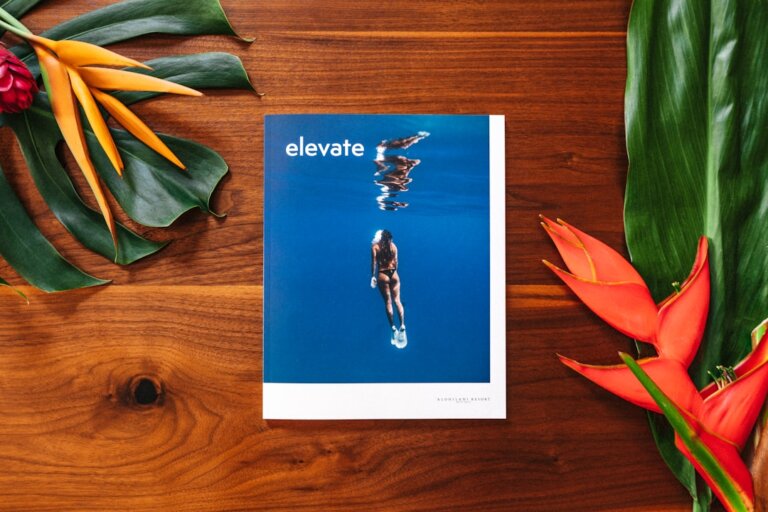 Contract Editor — Elevate