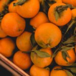 Hire Feed