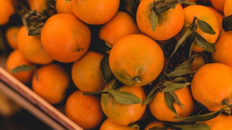 Mandarin Narrator — Hire Feed