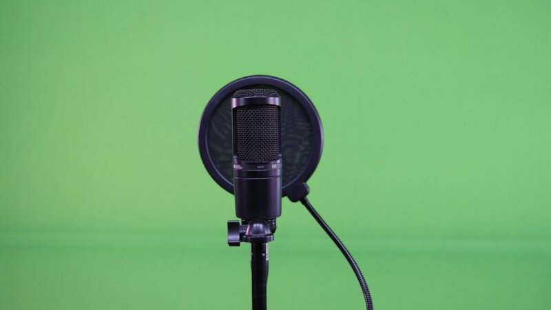 Voice Over Artist — Realeyes