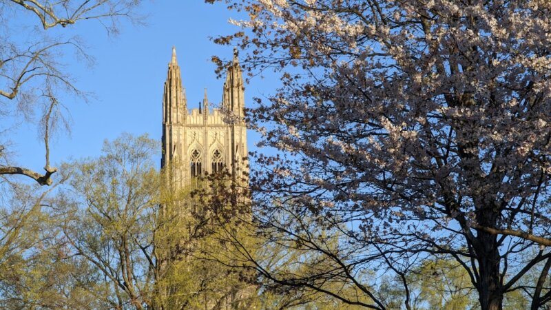 Media Producer — Duke University