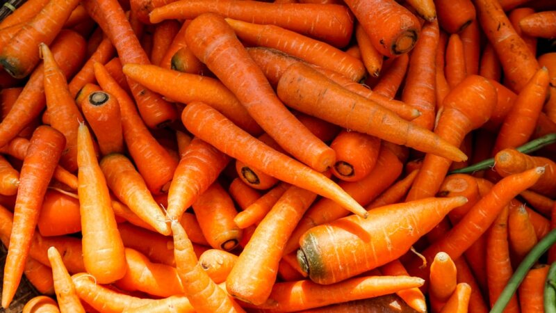 Audio Technician — Red Carrot